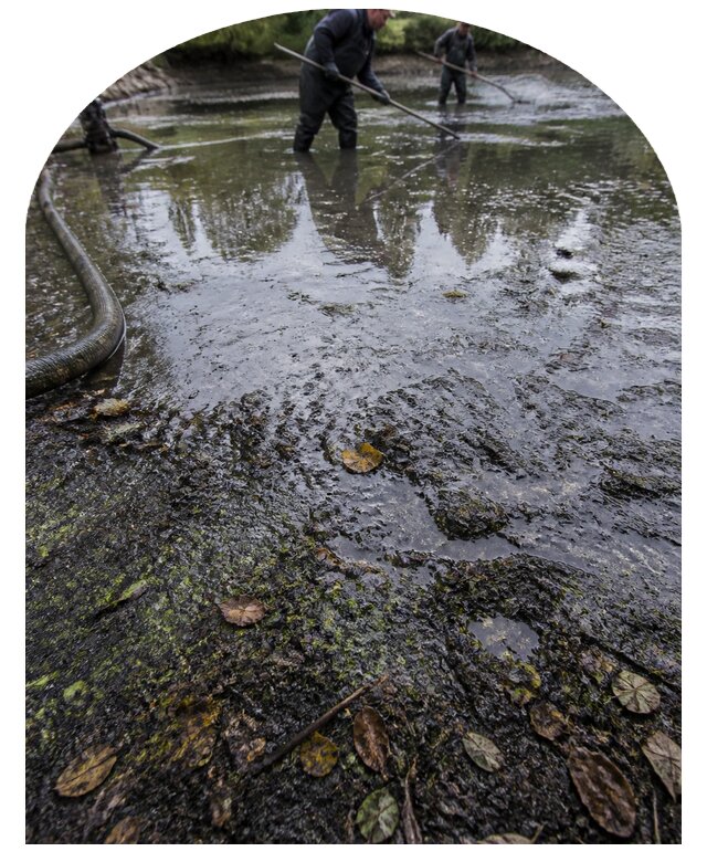 Очистка пруда в Кулебаках от ила мусора и водорослей с вывозом